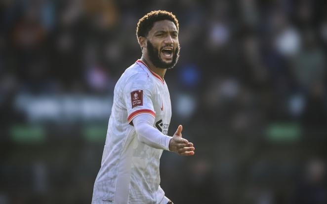 头细节方面 头细节方面