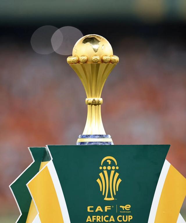 的两周反弹 的两周反弹