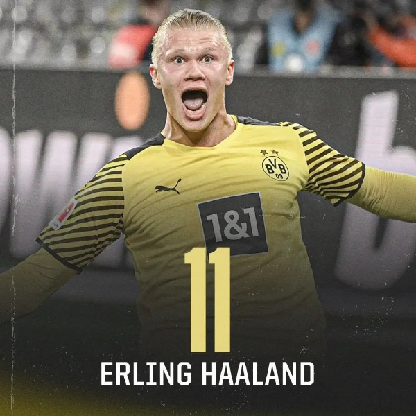 拿分稳定性 拿分稳定性